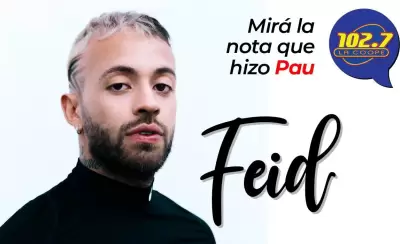 Web-Feid-PAU