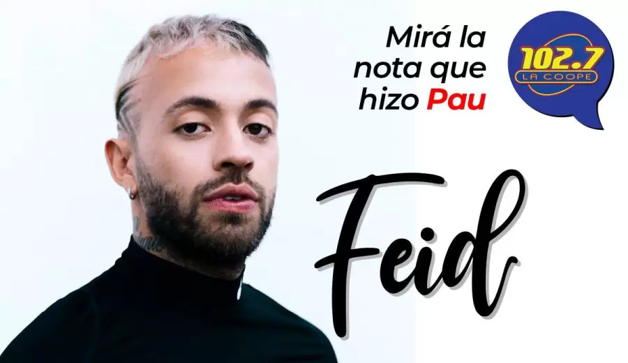 Web-Feid-PAU