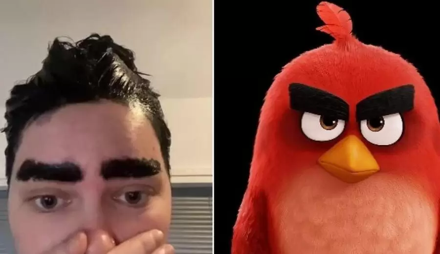 angry-birds-jpeg.