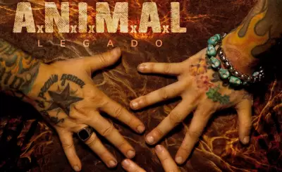 A.N.I.M.A.L