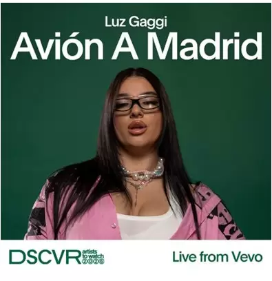 Luz Gaggi avi�n a Madrid
